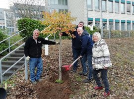 Neuer Baum für Porz per Challenge durch die Stadtgarde Porz - der Bürgerverein Porz-Mitte unterstützt