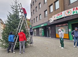 Lichterketten an den Weihnachtsbäumen in der City angebracht