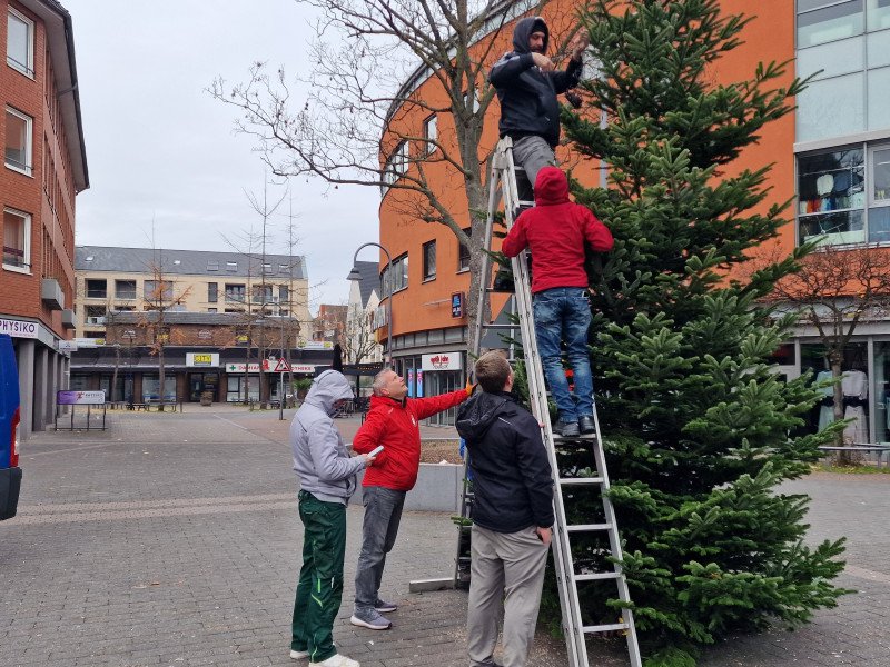 BVPM installiert Beleuchtung an Weihnachtsbäumen mit Unterstützung Solibund